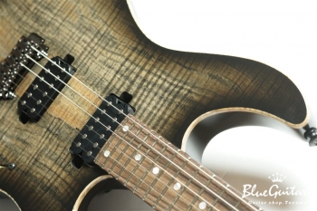 FUTURA-S HH LTD / Alder Back Spalted Maple Top Body - Transparent Black